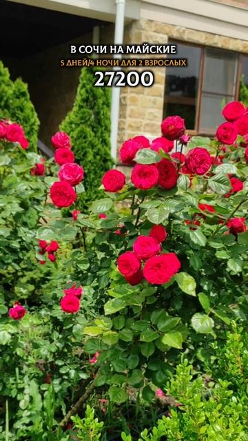 отель Аура.mp4