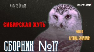 ПРЕМЬЕРА. Сибирская Жуть: Сборник №17.