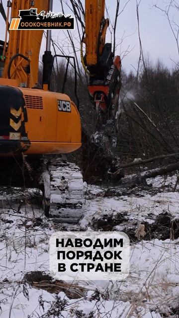Ну что тут скажешь - наводим порядок в стране