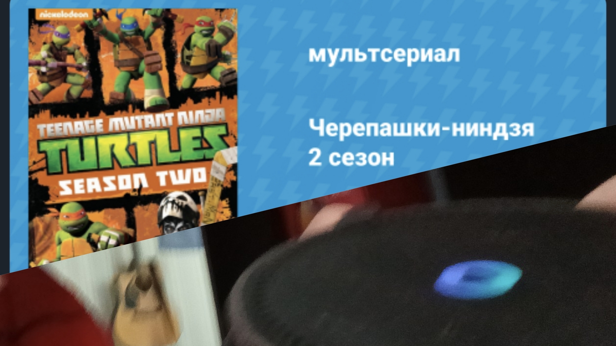 АЛИСА ВЫБРАЛА ЧЕРЕПАШЕК