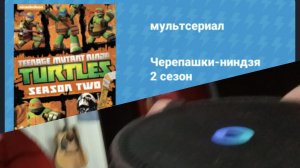 АЛИСА ВЫБРАЛА ЧЕРЕПАШЕК