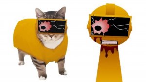 СПРУНКИ ПОДБОРКА КОТЯТ! КОТИК ОАОУИО - САМЫЙ ИЗВЕСТНЫЙ МЕМ! СМЕЯТЬСЯ
