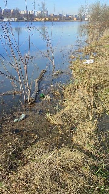 Уровень воды уже критический. Ни разу такого не видел. #томь #красноеозеро #кемерово #уровеньводывре