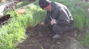 ЖИВЕМ В ДЕРЕВНЕ!ЯМОЧНЫЙ РЕМОНТ ДОРОГИ! НАСКИРДОВАЛИ ТРАВЫ!!ВЕТЕР ПОТРЕПАЛ ТЮЛЬПАНЫ!!