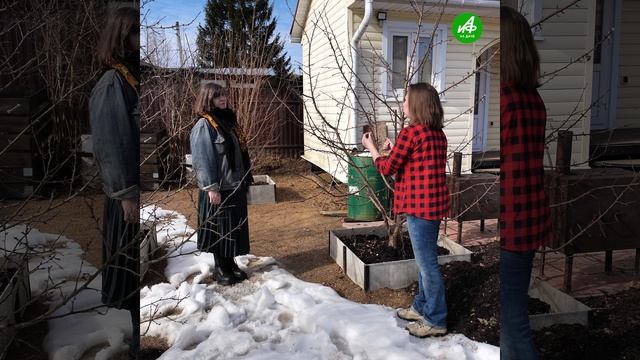 Борьба с вредителями. Как обработать свой сад перед летним сезоном?