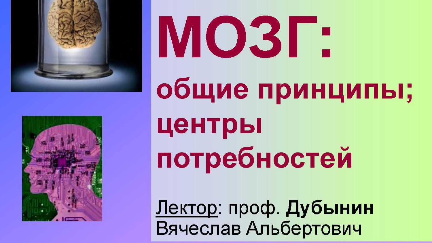 Физиология потребностей 10 - Гомеостаз