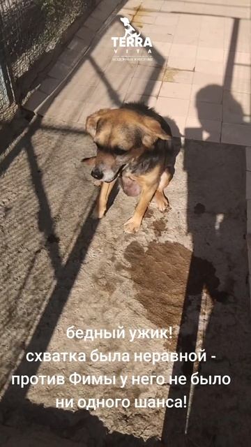 Фима- победительница змей!