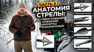 Стрелы для лука и арбалета (часть 2): Хвостовики, оперение, инсерты, наконечники.