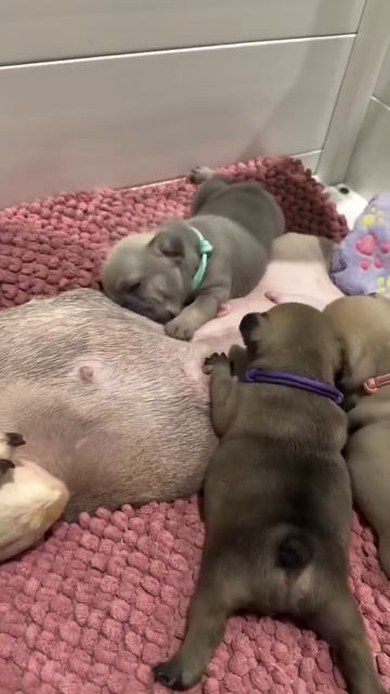 Видео от Департамент Вирусного Контента | ДВК