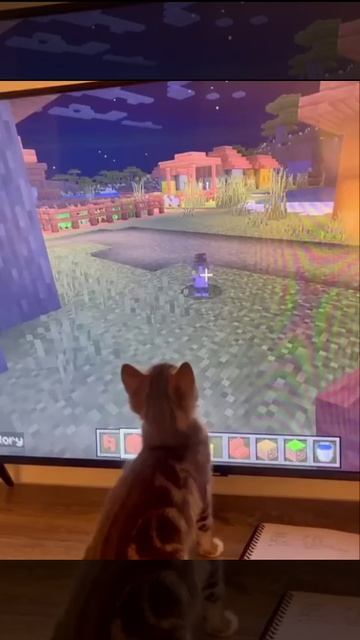 супер встреча