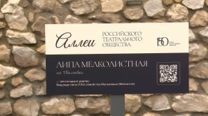 В Рязани высадили «театральную» аллею