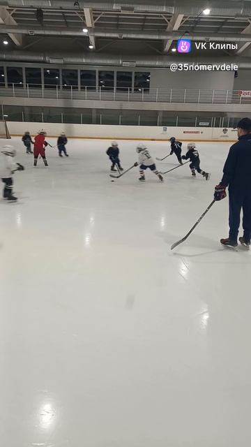Хоккейная тренировка