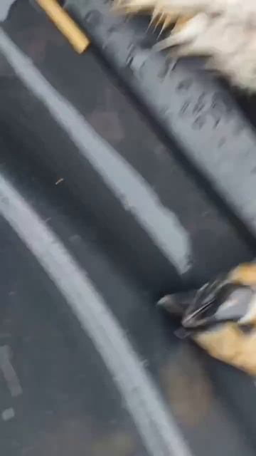 Спасение👍👍👍👍👍