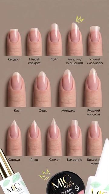 Разнообразие форм