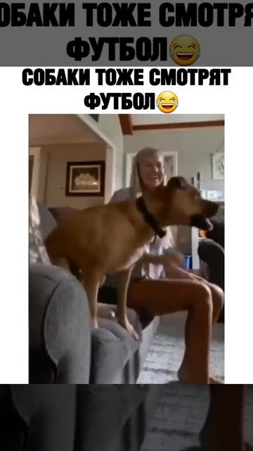 Video_2026-04-02_23-26-27