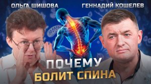 Как связана боль в спине с внутренними органами | Ольга Шишова и Геннадий Кошелев