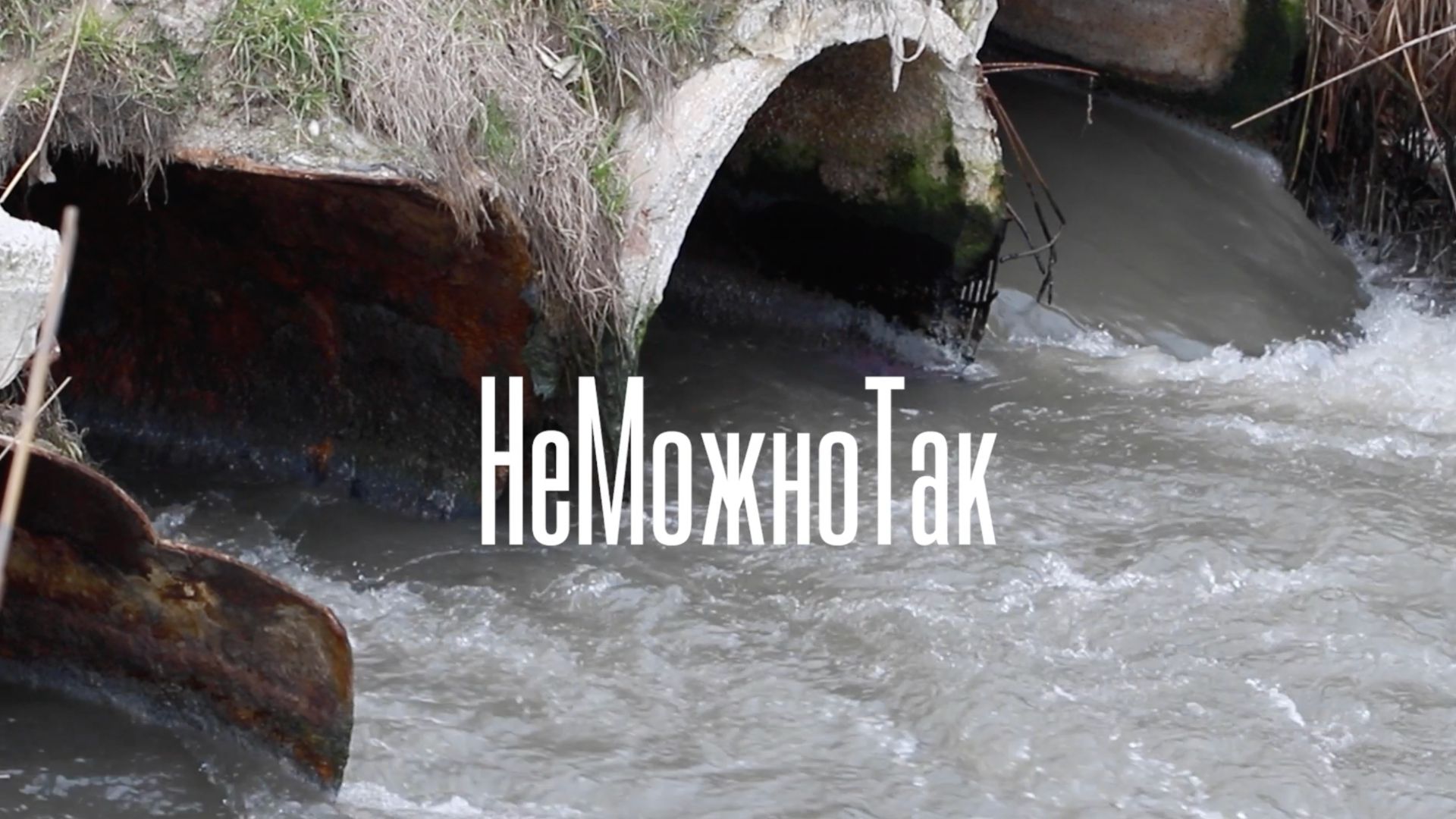 Махачкалинцы говорят.