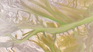 🏜🌊Встреча рек и пустыни: весеннее чудо Синьцзяна