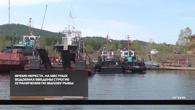 Время нереста 27-04-2026