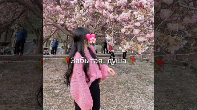 Цыганская Песня💃🏻💃🏻для настроения зажыгай народ 👑👑 не забыть подписаться 🙃🤝