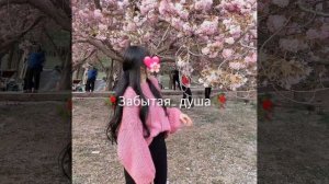 Цыганская Песня💃🏻💃🏻для настроения зажыгай народ 👑👑 не забыть подписаться 🙃🤝