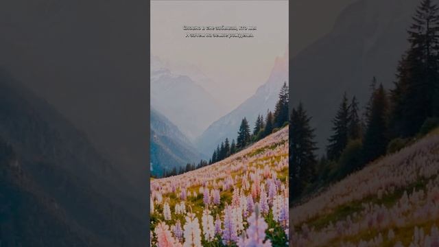 ПРЕМЬЕРА АВТОРСКОЙ ПЕСНИ  