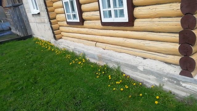 Пчёлки, цветы и защита деревьев.