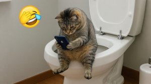 Новые самые смешные клипы про кошек и собак 2026 года😼🐶Попробуй не рассмеяться😜 Часть 1