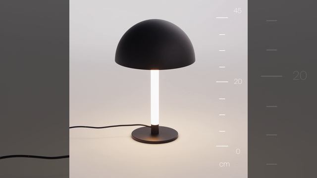 Светильник Maytoni Ray Z012TL-L8B3K