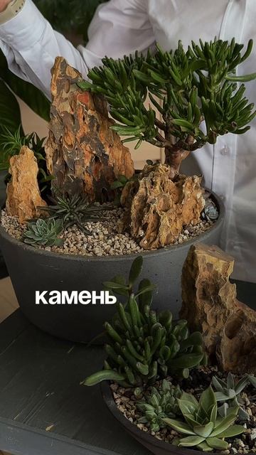 Декор для композиций из суккулентов