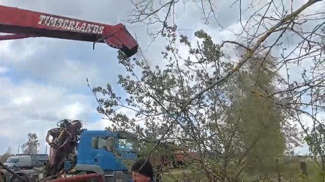 Рубительная машина Timberlands