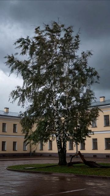 Сила природы: ветер и дождь #природа #погода