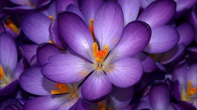 Библия и жизнь. Моя аудиокнига. Часть № 137