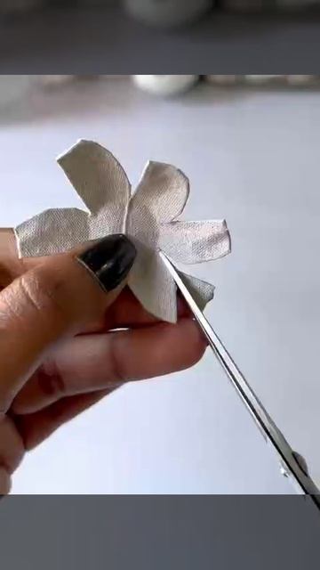 VID_20260430_024541_750.mp4