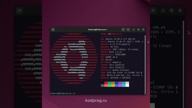 Информация о системе в терминале Linux