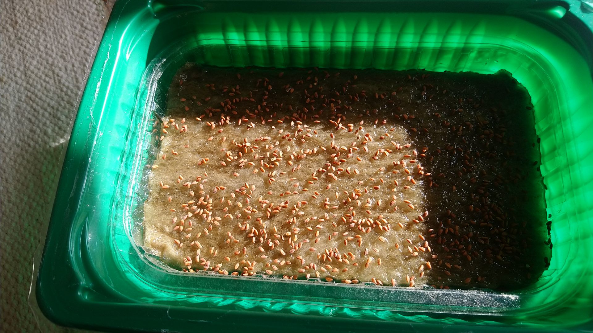 Обзор очень нужного товара с Озон.