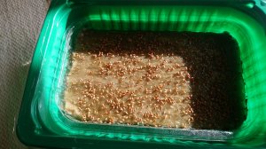 Обзор очень нужного товара с Озон.