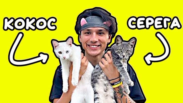 слушай мою песню