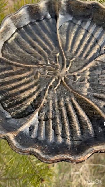 Установила поилку, наполнила кормушку.Птицы поют.