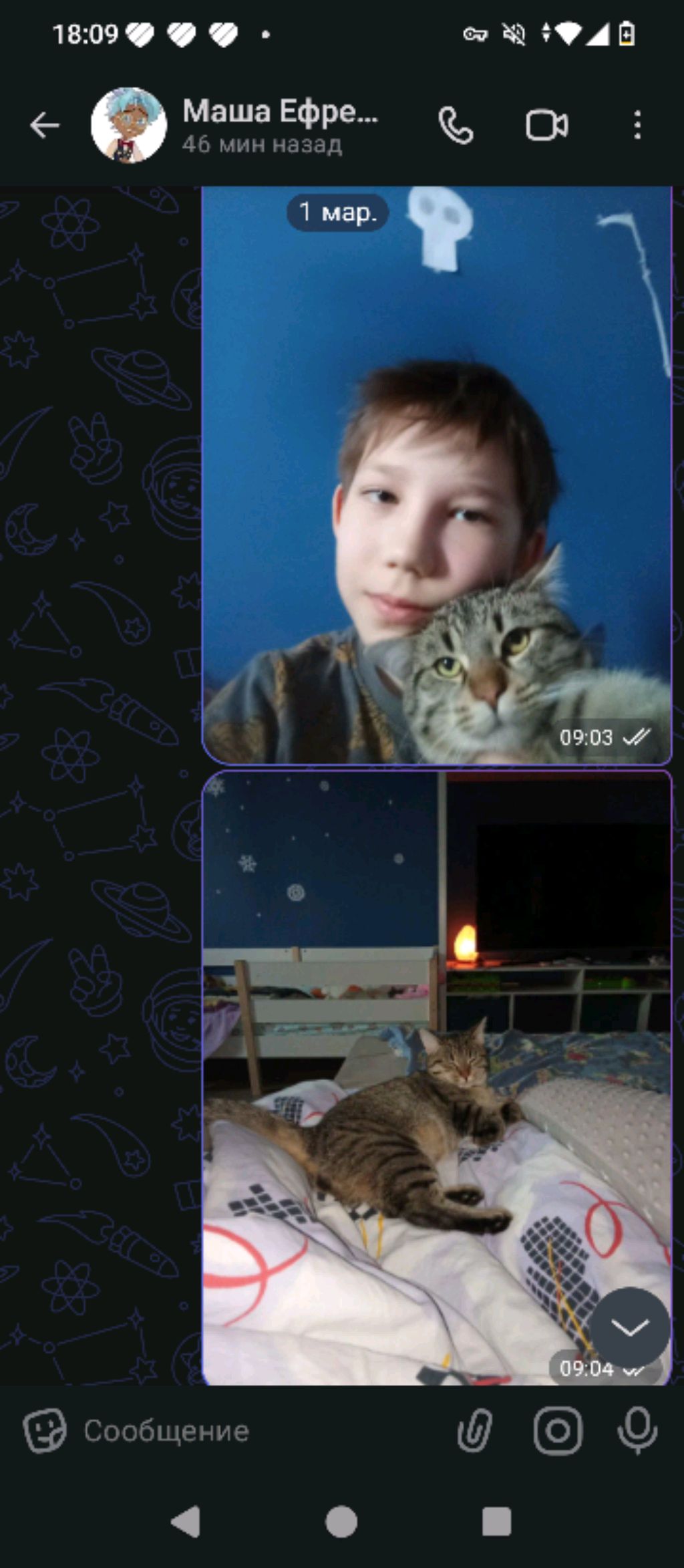 день рождения моего котёнка