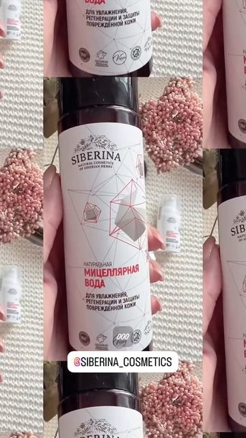 Видео появляются в чате телеграмм «Рекламные материалы SIBERINA»