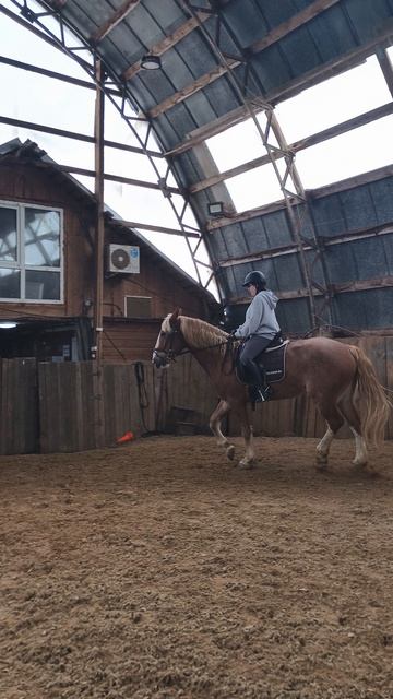 Даша и Каспер, учебная рысь по стенке в манеже.