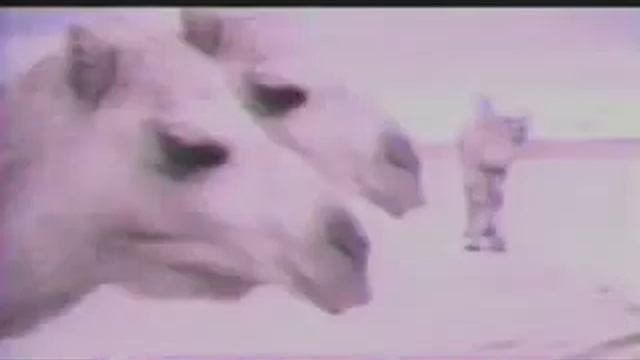 Реклама Picnic 1993