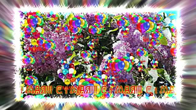 С 1 МАЯ!!! Праздничная музыкальная открытка 2 от Киностудии Мудрого Кота Тимофея!