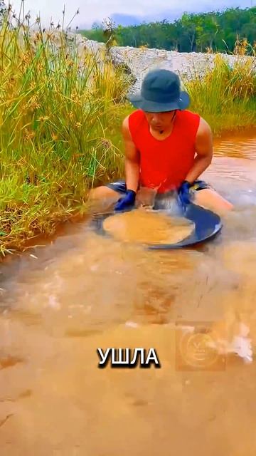 Миллионы рублей за пару часов прогулки!