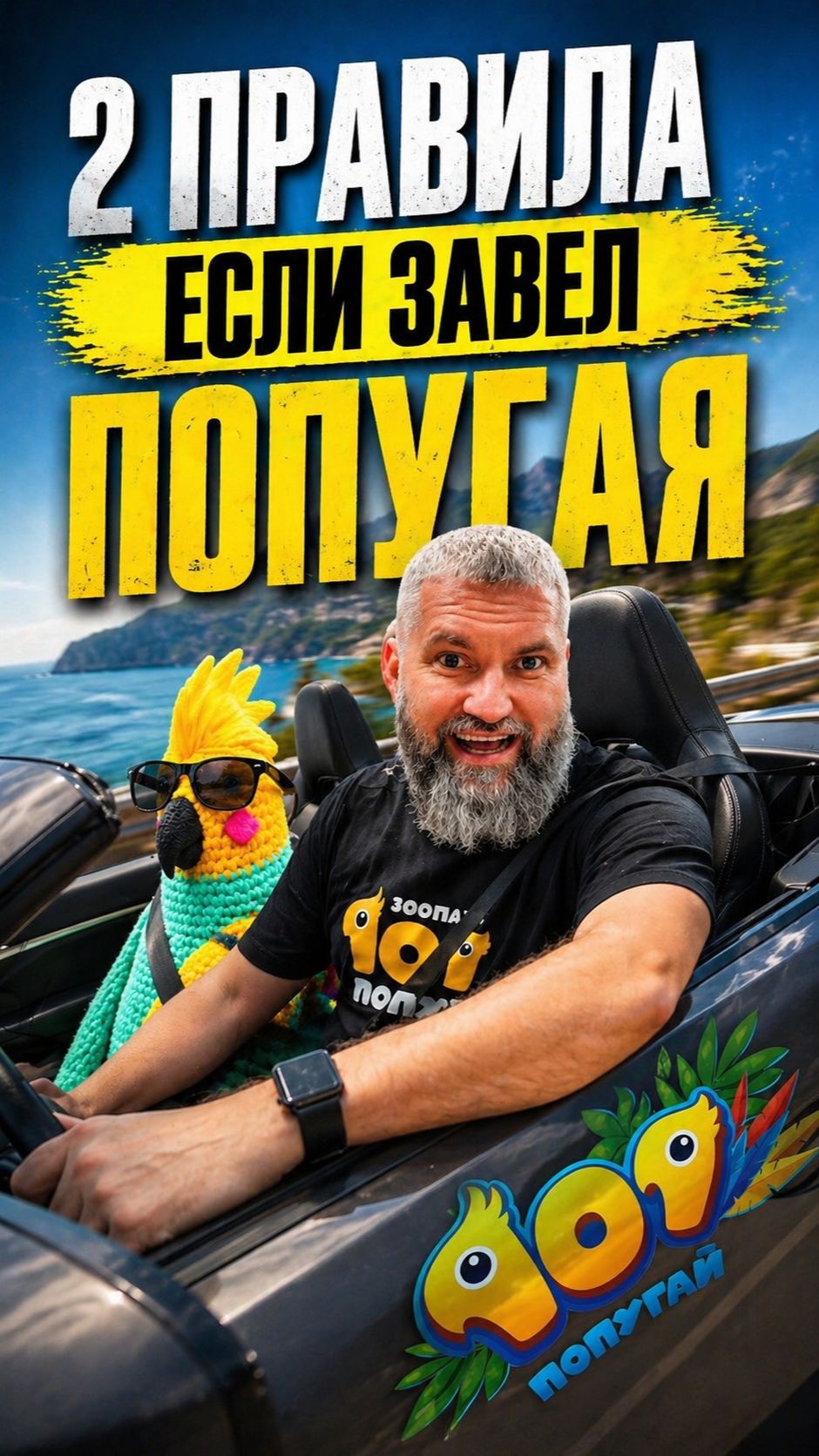 Если вы завели попугая — есть всего 2 правила, которые решают почти всё👇
