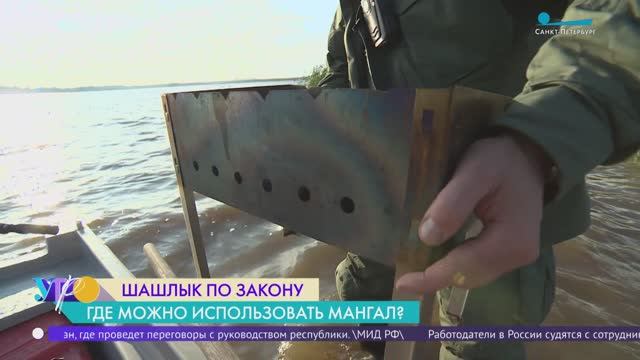 Шашлыки по закону: о чём надо помнить чтобы не испортить выходные штрафами