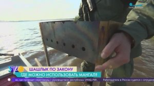 Шашлыки по закону: о чём надо помнить, чтобы не испортить выходные штрафами