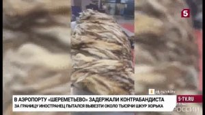 Телеканал «Пятый», программа «Новости», 29.04.2026