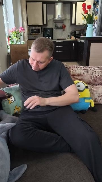 Отличное решение #французскийбульдог #собакиприколы #экохимтех #здоровяксобака #собакиюмор